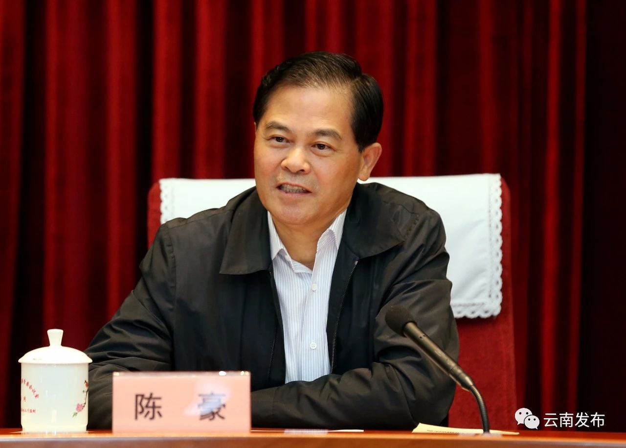 陈豪在讲话中强调